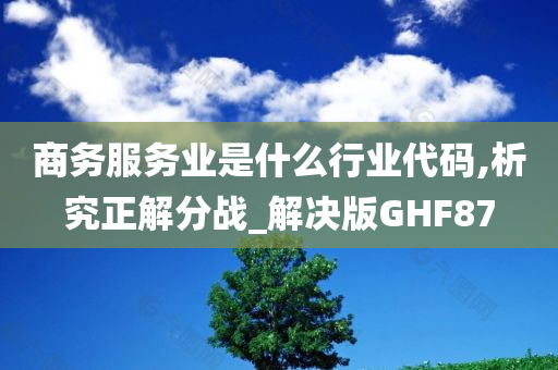 商务服务业是什么行业代码,析究正解分战_解决版GHF87