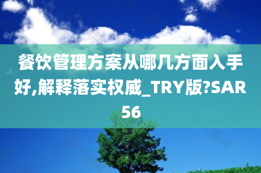 餐饮管理方案从哪几方面入手好,解释落实权威_TRY版?SAR56