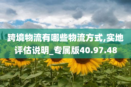 跨境物流有哪些物流方式,实地评估说明_专属版40.97.48