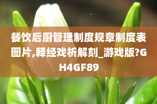 餐饮后厨管理制度规章制度表图片,释经戏析解刻_游戏版?GH4GF89