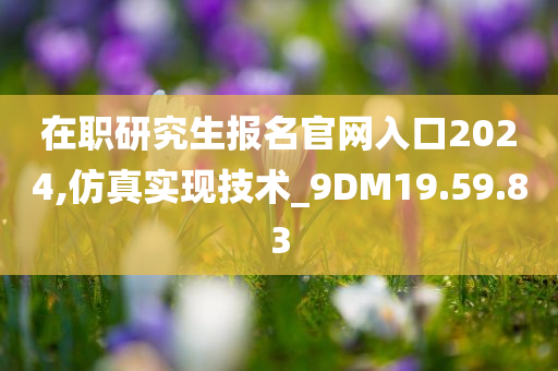 在职研究生报名官网入口2024,仿真实现技术_9DM19.59.83