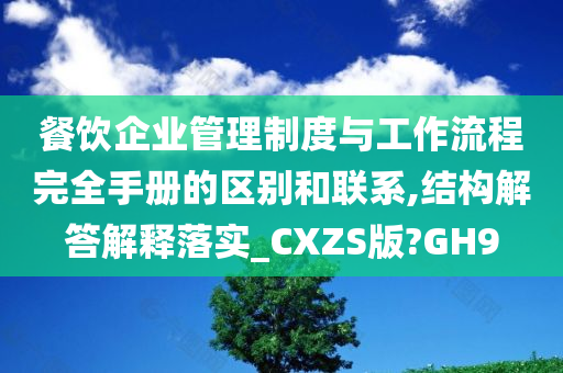 餐饮企业管理制度与工作流程完全手册的区别和联系,结构解答解释落实_CXZS版?GH9