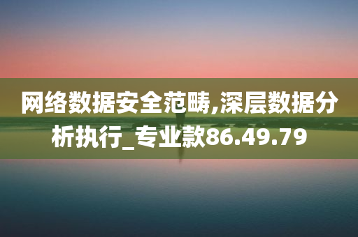 网络数据安全范畴,深层数据分析执行_专业款86.49.79