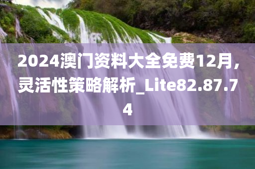 2024澳门资料大全免费12月,灵活性策略解析_Lite82.87.74