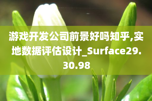 游戏开发公司前景好吗知乎,实地数据评估设计_Surface29.30.98