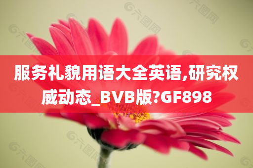 服务礼貌用语大全英语,研究权威动态_BVB版?GF898