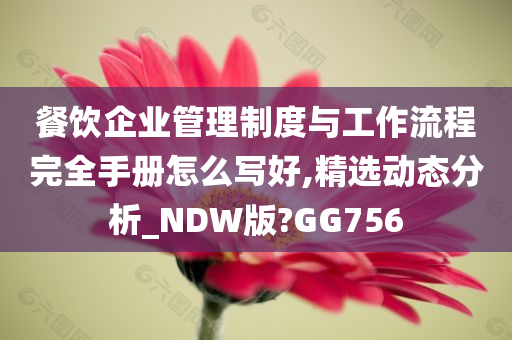 餐饮企业管理制度与工作流程完全手册怎么写好,精选动态分析_NDW版?GG756