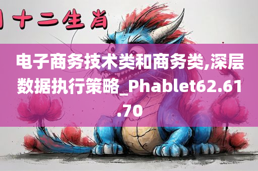 电子商务技术类和商务类,深层数据执行策略_Phablet62.61.70