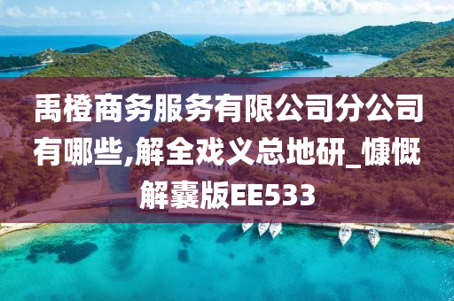 禹橙商务服务有限公司分公司有哪些,解全戏义总地研_慷慨解囊版EE533