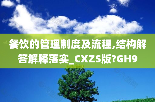 餐饮的管理制度及流程,结构解答解释落实_CXZS版?GH9