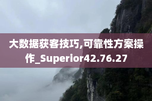 大数据获客技巧,可靠性方案操作_Superior42.76.27