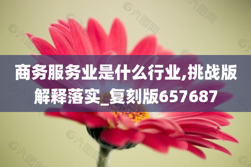 商务服务业是什么行业,挑战版解释落实_复刻版657687