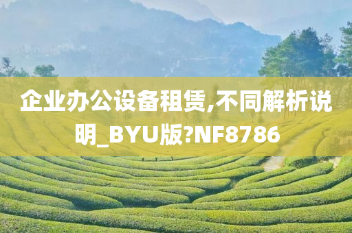 企业办公设备租赁,不同解析说明_BYU版?NF8786