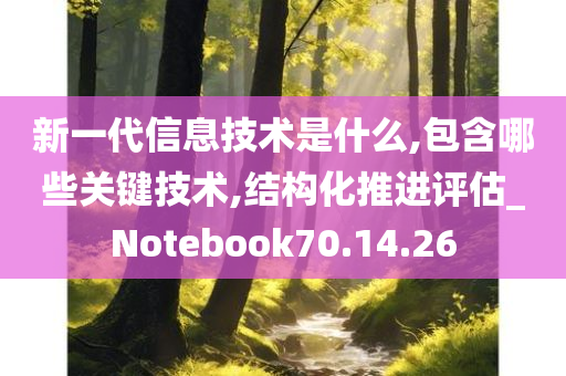 新一代信息技术是什么,包含哪些关键技术,结构化推进评估_Notebook70.14.26