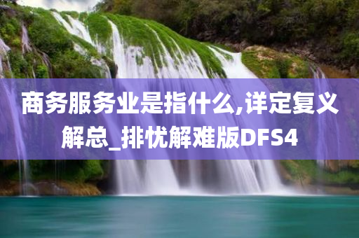 商务服务业是指什么,详定复义解总_排忧解难版DFS4