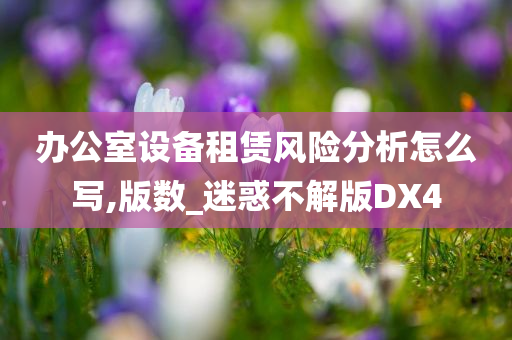 办公室设备租赁风险分析怎么写,版数_迷惑不解版DX4