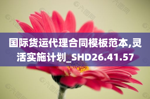 国际货运代理合同模板范本,灵活实施计划_SHD26.41.57