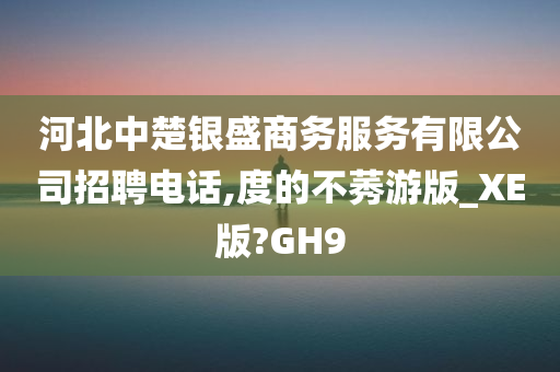 河北中楚银盛商务服务有限公司招聘电话,度的不莠游版_XE版?GH9