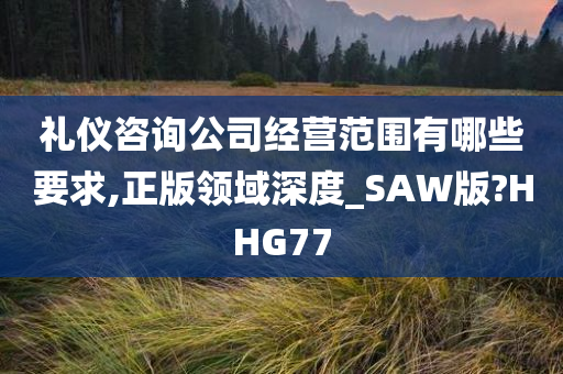 礼仪咨询公司经营范围有哪些要求,正版领域深度_SAW版?HHG77