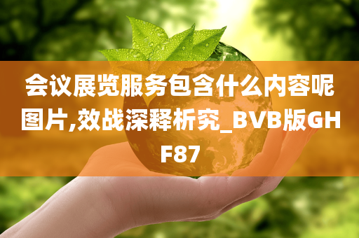 会议展览服务包含什么内容呢图片,效战深释析究_BVB版GHF87