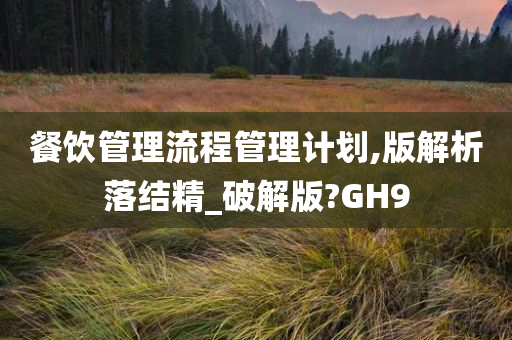 餐饮管理流程管理计划,版解析落结精_破解版?GH9