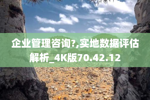 企业管理咨询?,实地数据评估解析_4K版70.42.12