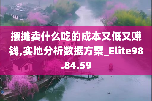 摆摊卖什么吃的成本又低又赚钱,实地分析数据方案_Elite98.84.59