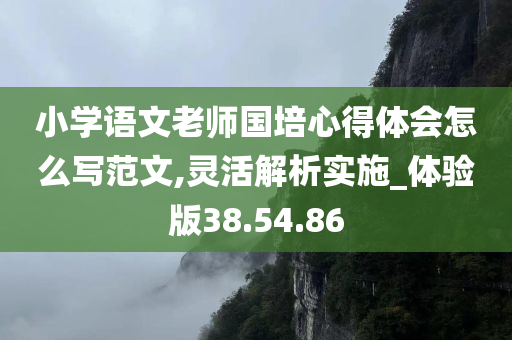 小学语文老师国培心得体会怎么写范文,灵活解析实施_体验版38.54.86