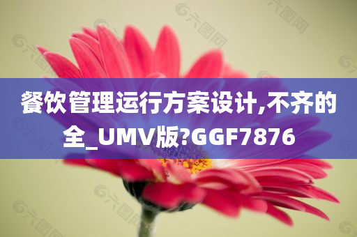 餐饮管理运行方案设计,不齐的全_UMV版?GGF7876