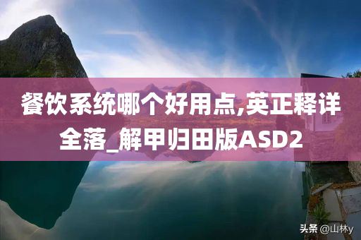 餐饮系统哪个好用点,英正释详全落_解甲归田版ASD2