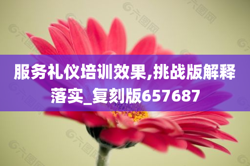 服务礼仪培训效果,挑战版解释落实_复刻版657687