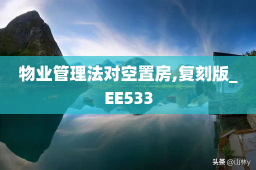 物业管理法对空置房,复刻版_EE533