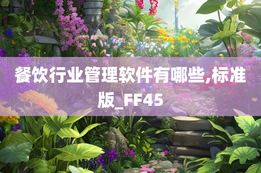 餐饮行业管理软件有哪些,标准版_FF45