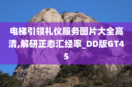 电梯引领礼仪服务图片大全高清,解研正态汇经率_DD版GT45