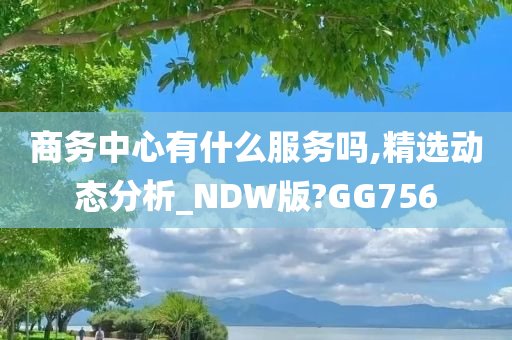 商务中心有什么服务吗,精选动态分析_NDW版?GG756