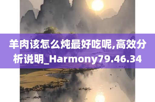 羊肉该怎么炖最好吃呢,高效分析说明_Harmony79.46.34