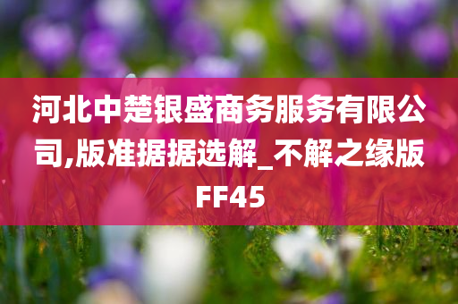 河北中楚银盛商务服务有限公司,版准据据选解_不解之缘版FF45