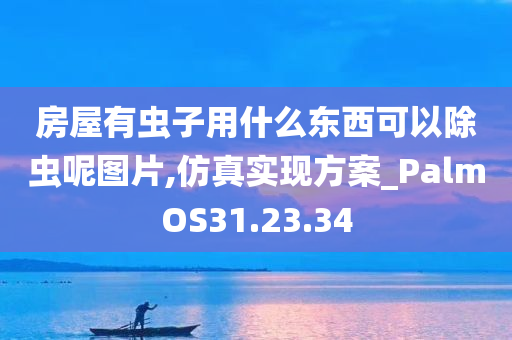 房屋有虫子用什么东西可以除虫呢图片,仿真实现方案_PalmOS31.23.34