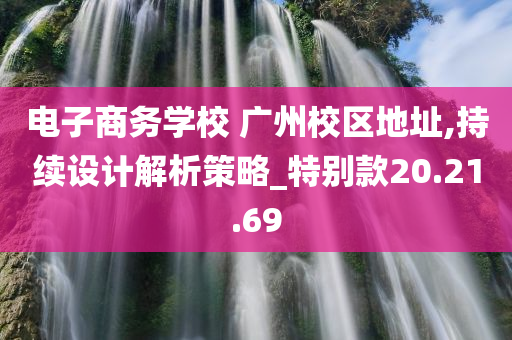 电子商务学校 广州校区地址,持续设计解析策略_特别款20.21.69