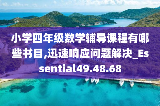 小学四年级数学辅导课程有哪些书目,迅速响应问题解决_Essential49.48.68