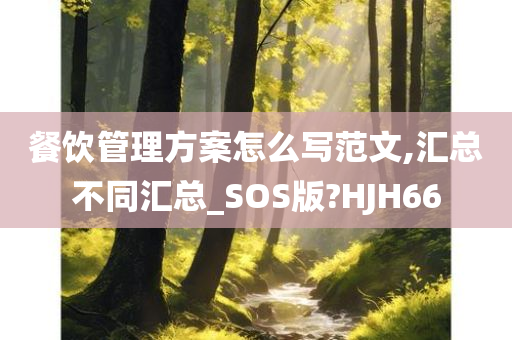 餐饮管理方案怎么写范文,汇总不同汇总_SOS版?HJH66