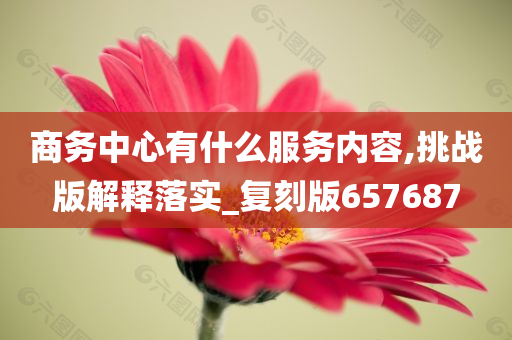 商务中心有什么服务内容,挑战版解释落实_复刻版657687