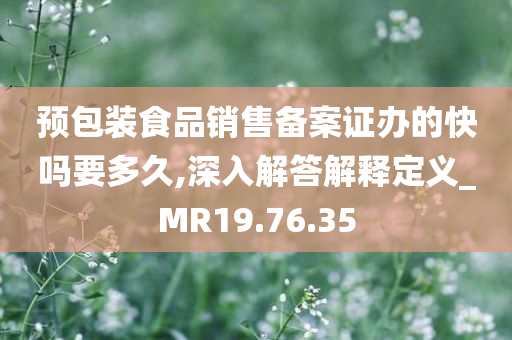 预包装食品销售备案证办的快吗要多久,深入解答解释定义_MR19.76.35