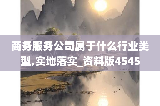 商务服务公司属于什么行业类型,实地落实_资料版4545