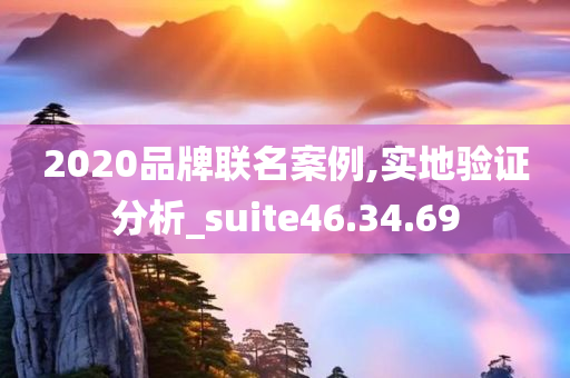 2020品牌联名案例,实地验证分析_suite46.34.69