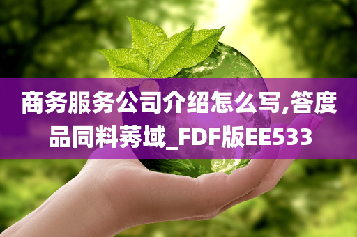 商务服务公司介绍怎么写,答度品同料莠域_FDF版EE533