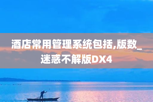 酒店常用管理系统包括,版数_迷惑不解版DX4