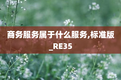 商务服务属于什么服务,标准版_RE35