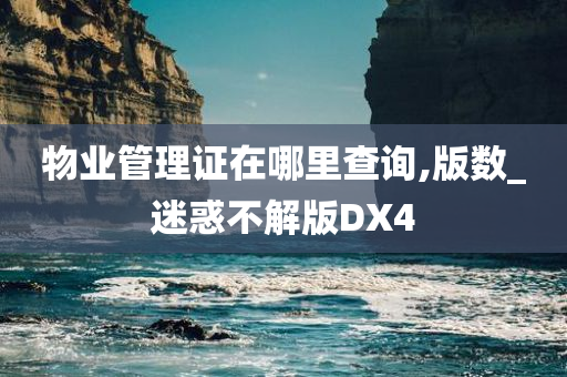 物业管理证在哪里查询,版数_迷惑不解版DX4