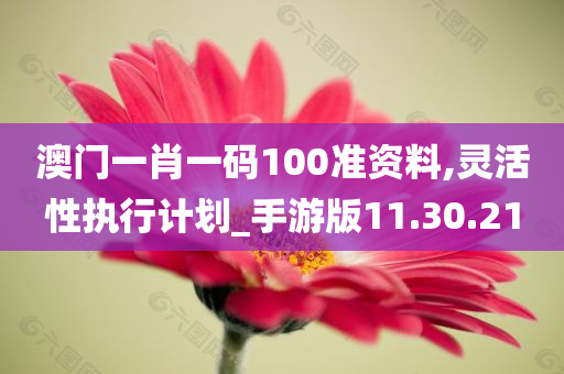 澳门一肖一码100准资料,灵活性执行计划_手游版11.30.21